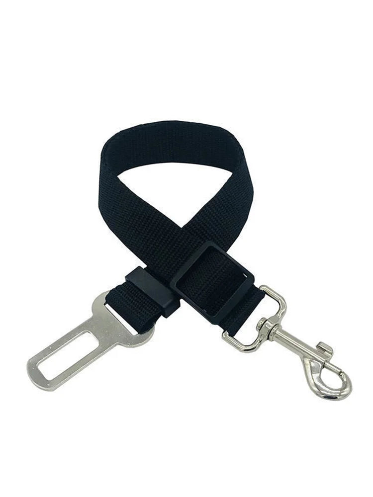 Black dog leash with metal clip on a white background