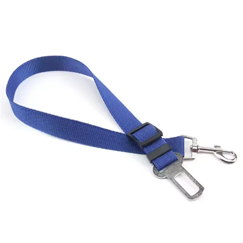 Blue dog leash with a clip and carabiner on a white background