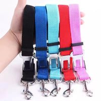 Set of colorful dog leashes with metal clips held by a hand on a white background