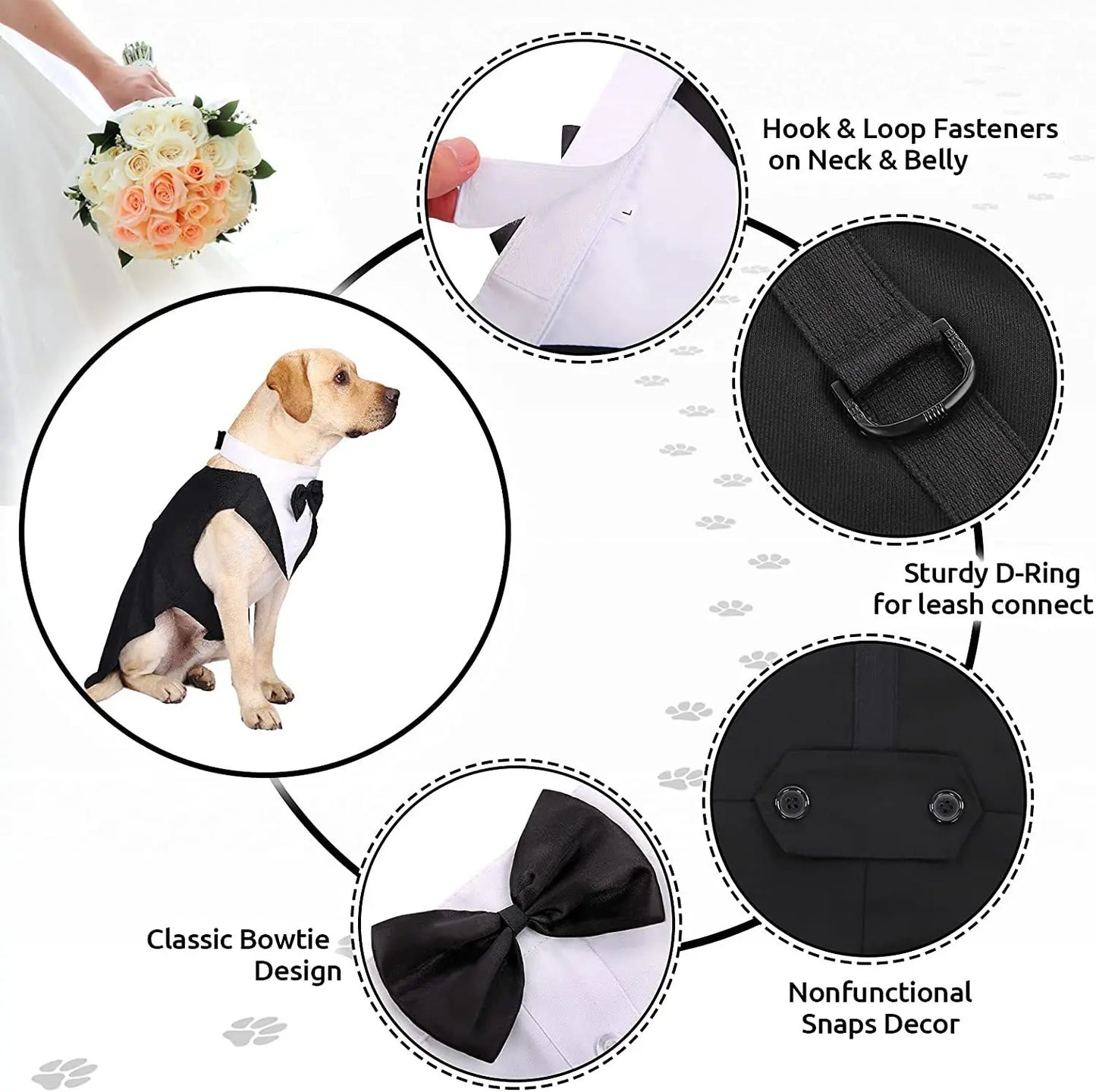 Dog wedding suit with features highlighted on a white background