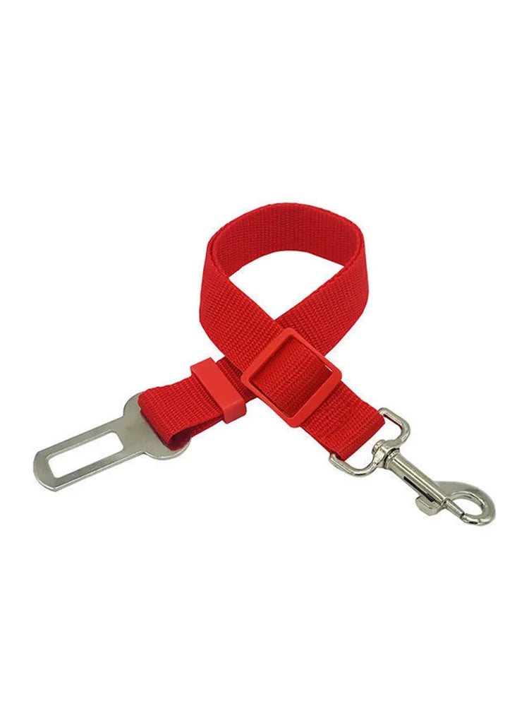 Red car seat belt with metal clip on a white background