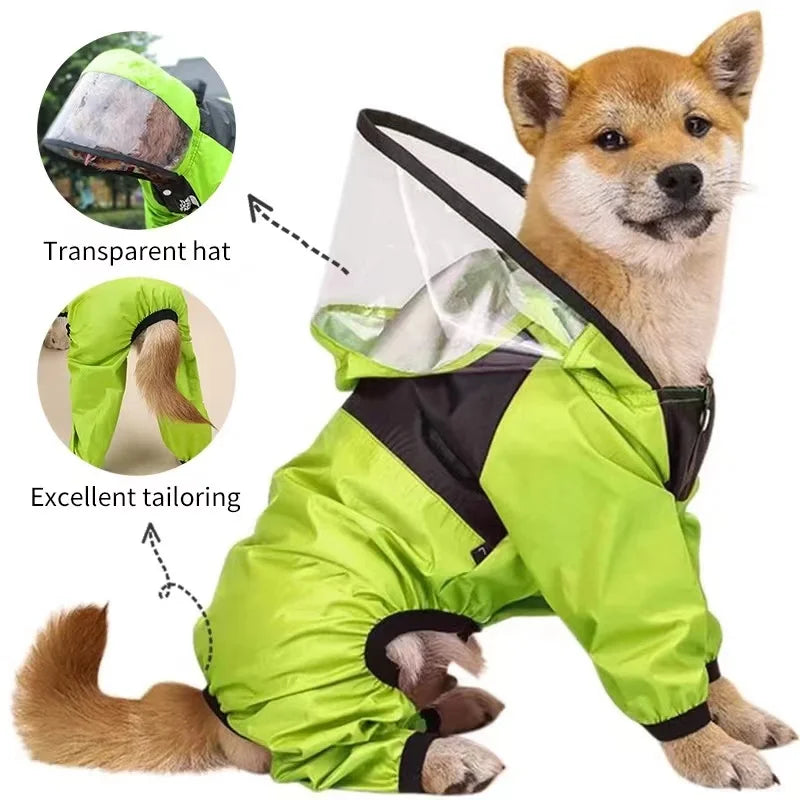 Dog wearing a green raincoat with transparent hat and black trim, on a white background.
