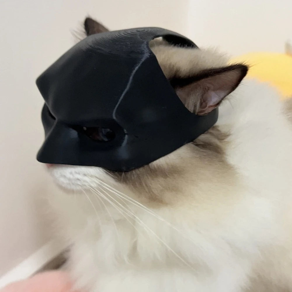 Cat wearing a black helmet-like object on a light background