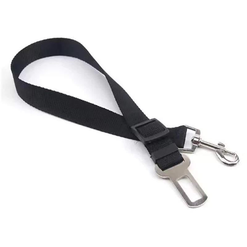 Black seat belt extension with silver buckle on a white background