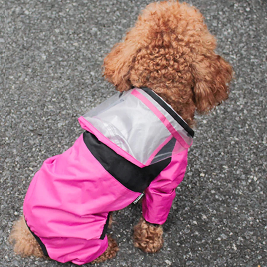 Small dog wearing a pink raincoat with a transparent window on a gray pavement.