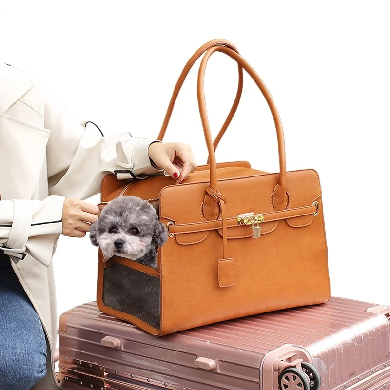 Person holding a brown leather pet carrier with a small dog peeking out, on a white background.