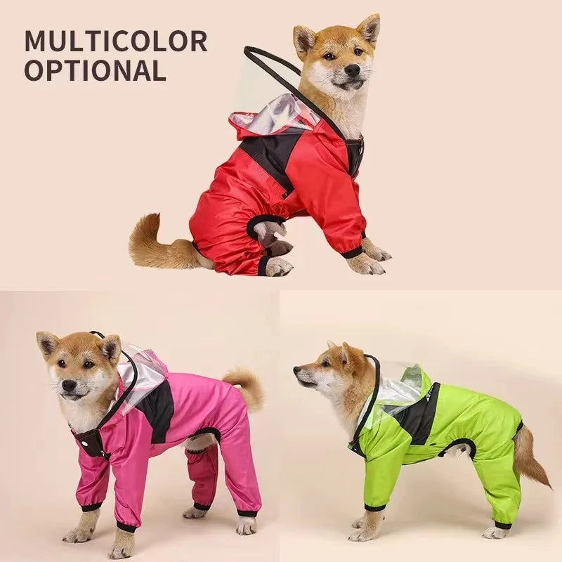 Three dogs wearing colorful raincoats on a beige background