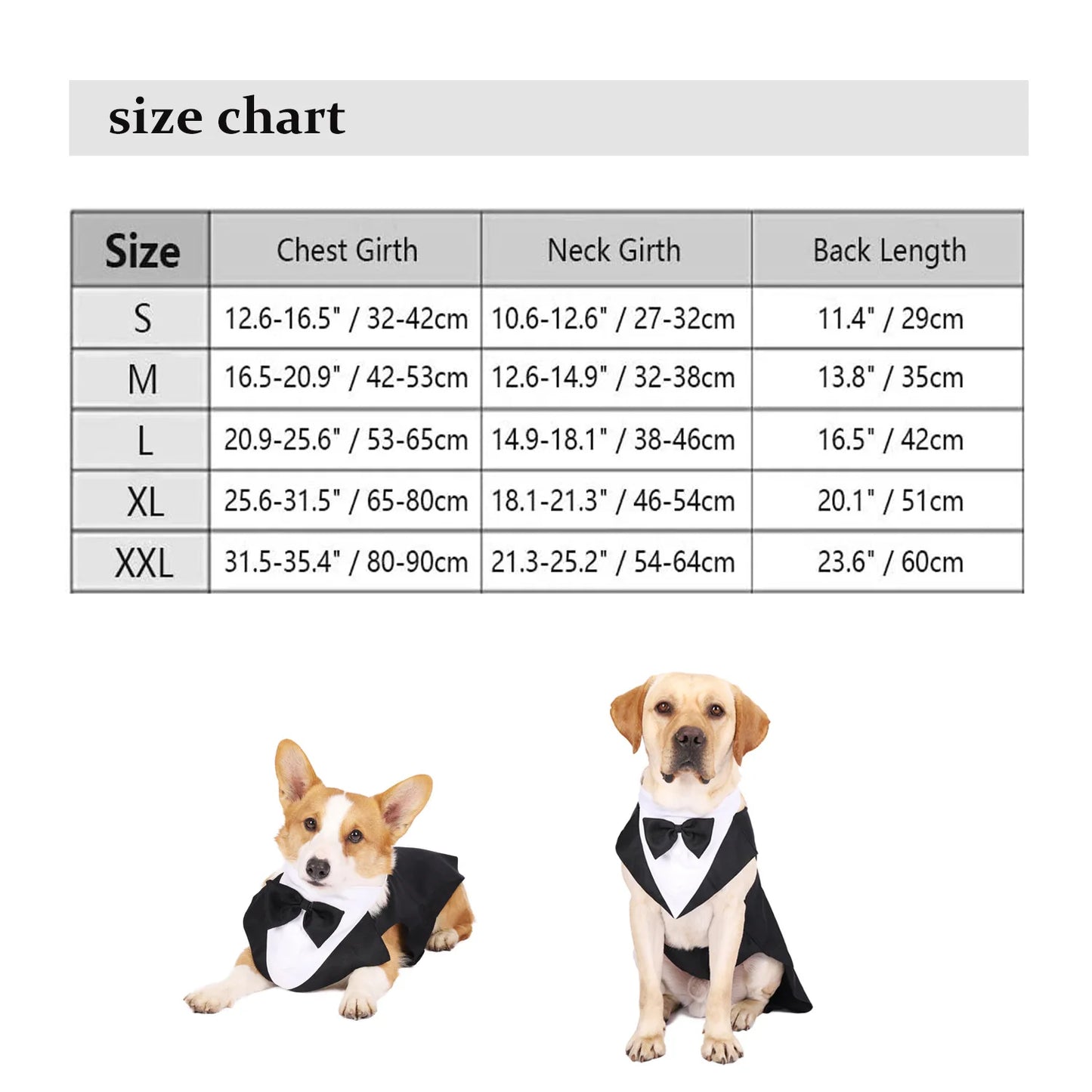 Size chart for dog tuxedos with two dogs wearing tuxedos on a white background