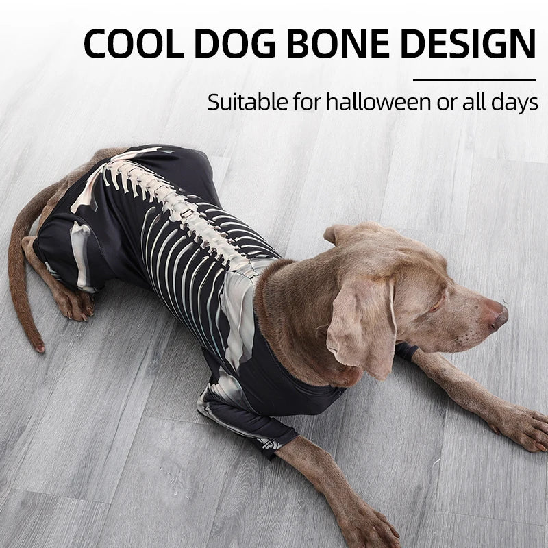 Dog wearing a skeleton costume with text 'Cool Dog Bone Design' and 'Suitable for Halloween or all days'.