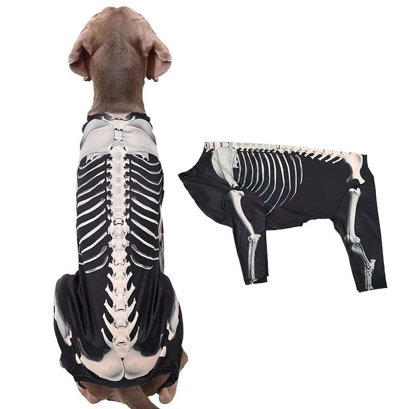Dog wearing a skeleton costume on a white background