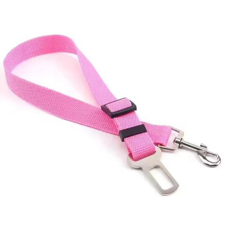 Pink dog leash with metal clip on a white background