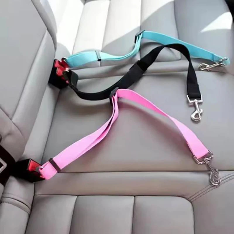 Two dog leashes attached to a car seat belt on a car interior.