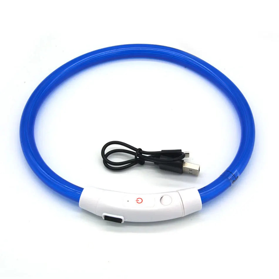 Blue LED dog collar with USB cable on a white background