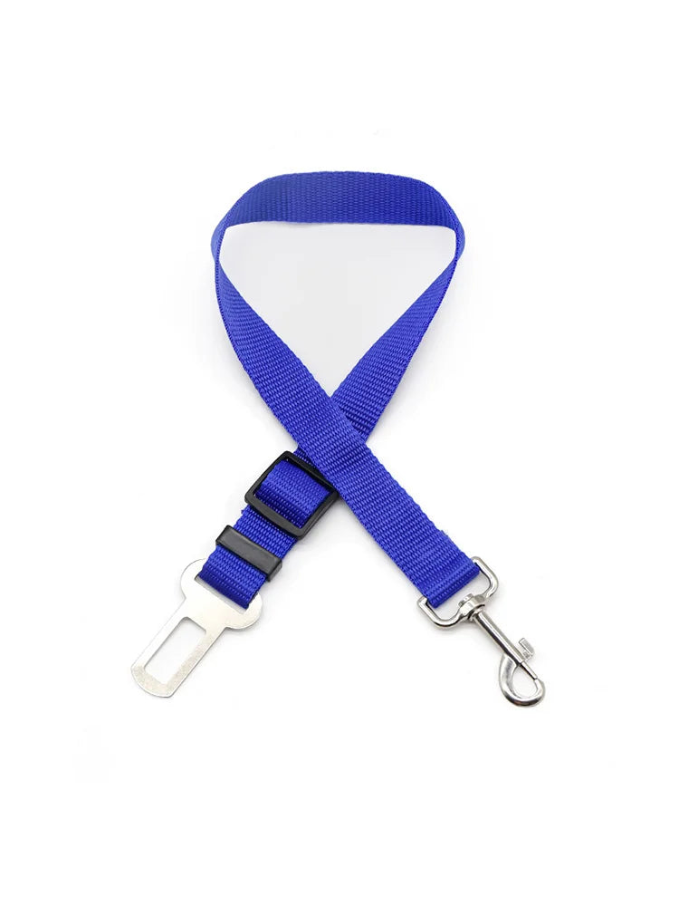 Blue lanyard with metal clip on a white background
