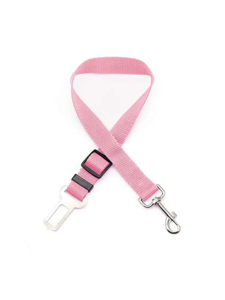 Pink dog leash with metal clasp on a white background