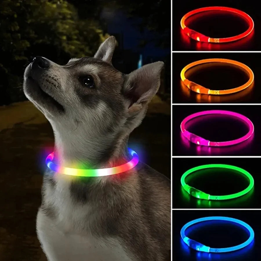 Dog wearing a colorful LED collar with additional color options displayed.