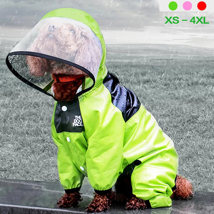 Dog wearing a bright green raincoat with a transparent hood on a rainy day.