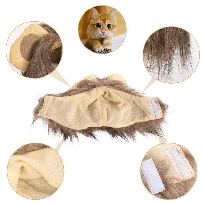 Cat hood with fur details and close-ups on a white background