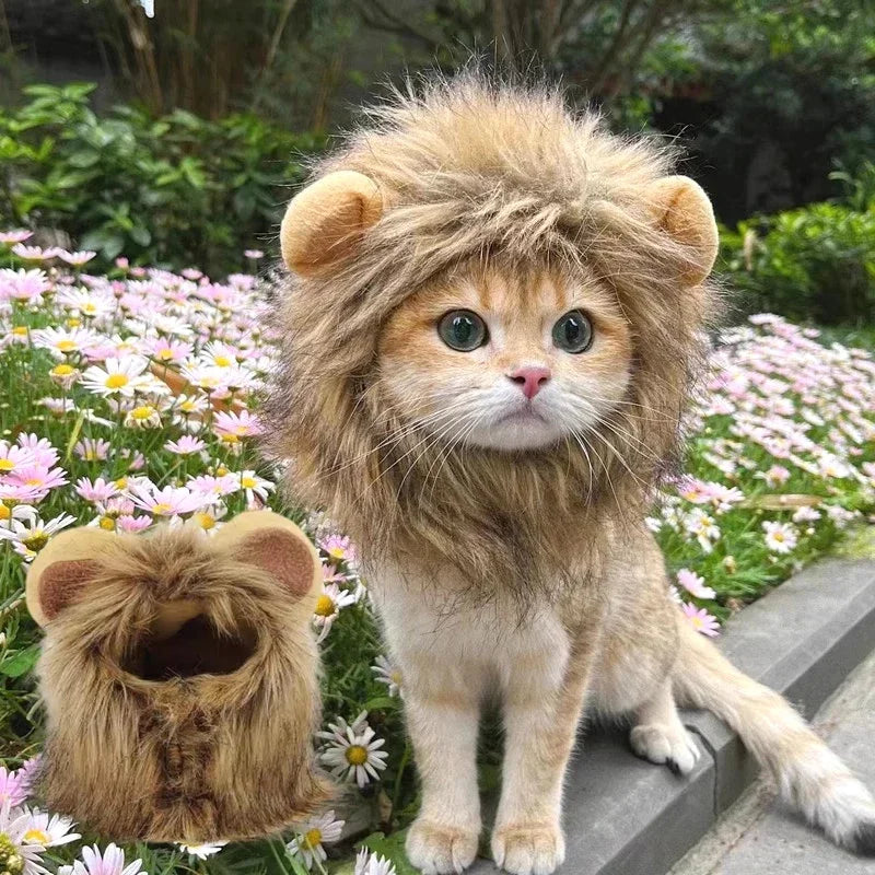 Cat wearing a lion mane costume standing outdoors with flowers in the background