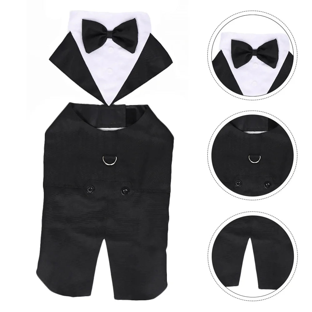 Black dog tuxedo with bow tie on a white background