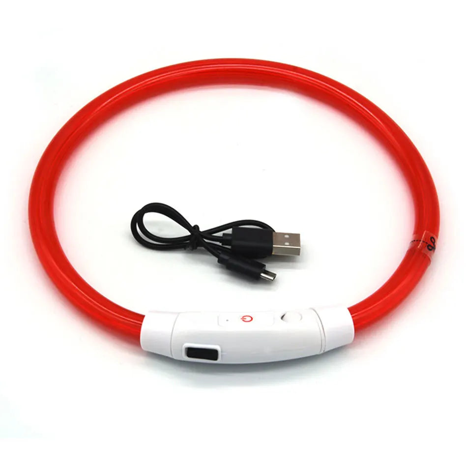 Red LED dog collar with USB cable on a white background