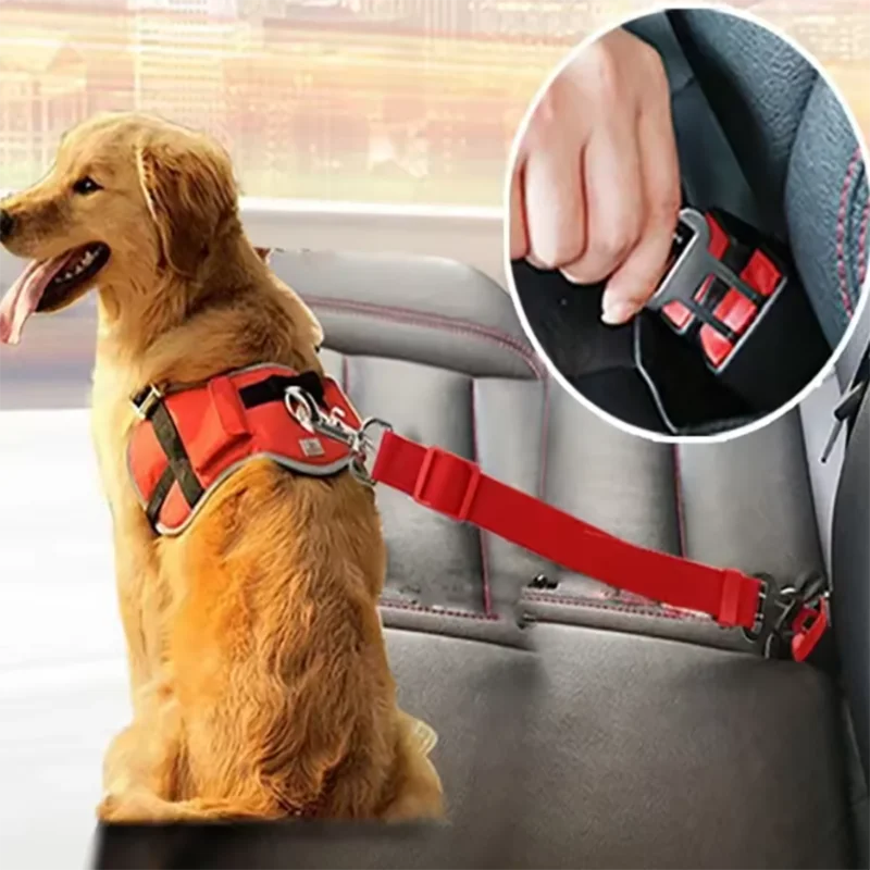 Dog wearing a red harness with a seat belt clip, sitting on a car seat.