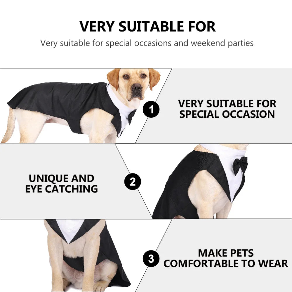 Dog in a formal outfit with text highlighting its suitability for special occasions.