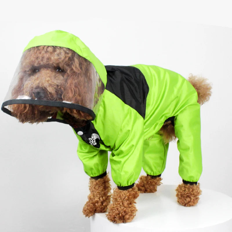 Dog wearing a bright green raincoat with a transparent hood on a white background