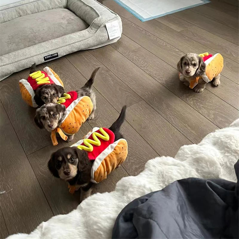 Four small dogs wearing hot dog costumes on a wooden floor.