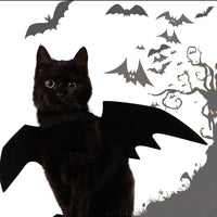 Black cat wearing bat wings with Halloween-themed background