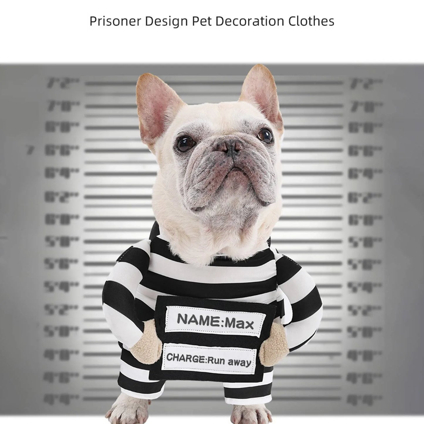 Dog wearing a prisoner-themed costume with a background resembling a police lineup.