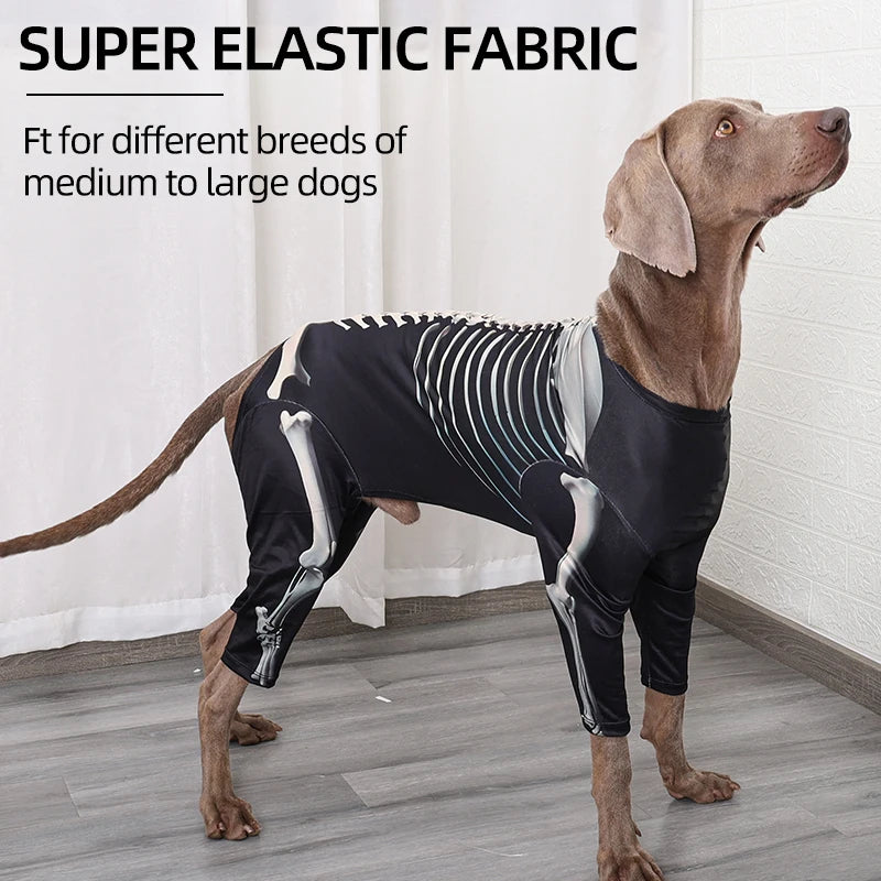 Dog wearing a black skeleton-themed outfit with text about super elastic fabric and size suitability.