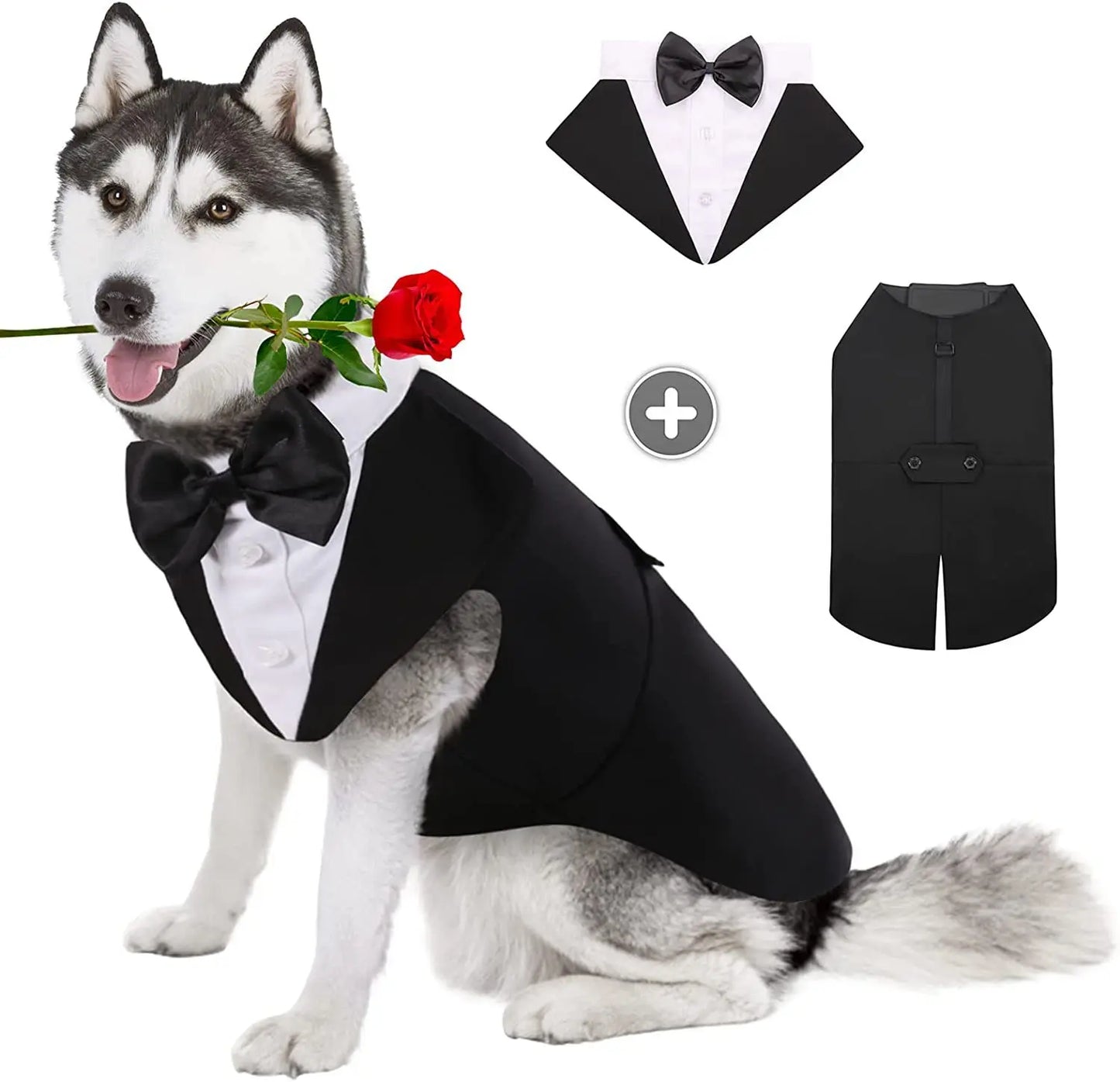 Dog in a tuxedo with a rose, accompanied by tuxedo pieces on a white background