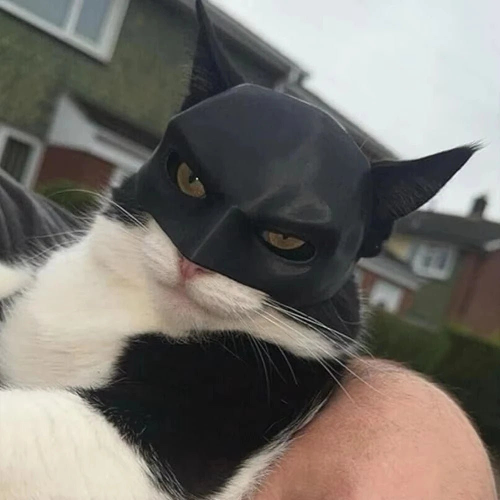 Cat wearing a black mask with yellow eyes, sitting on a person's shoulder outdoors.