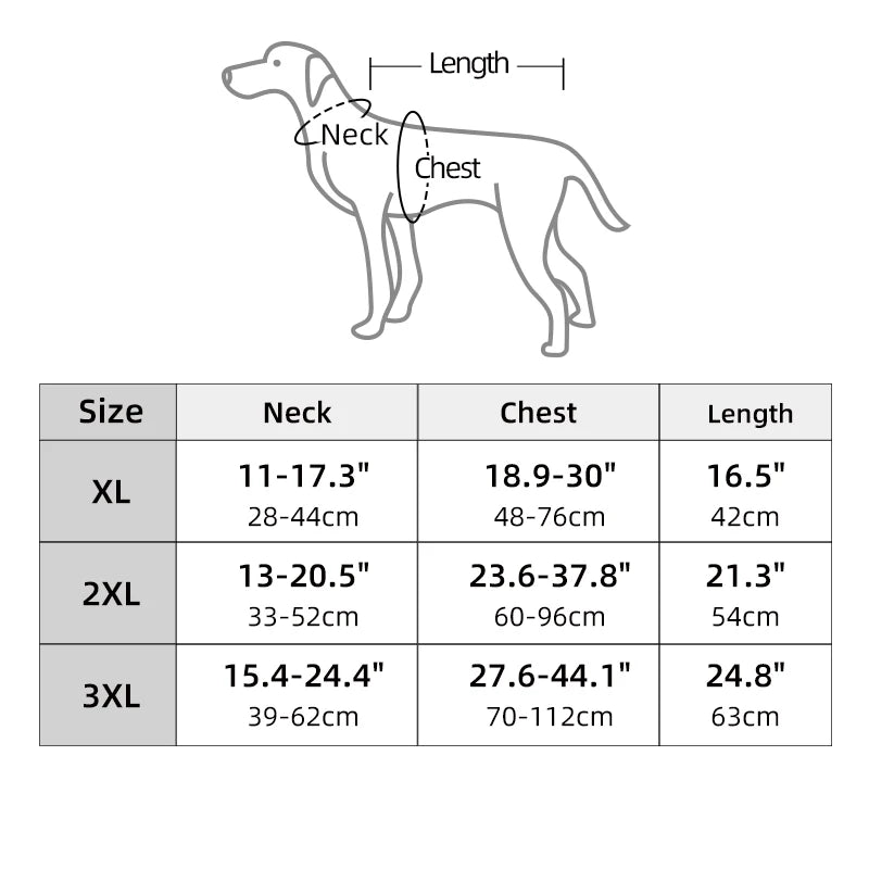 Dog size chart with measurements for neck, chest, and length.