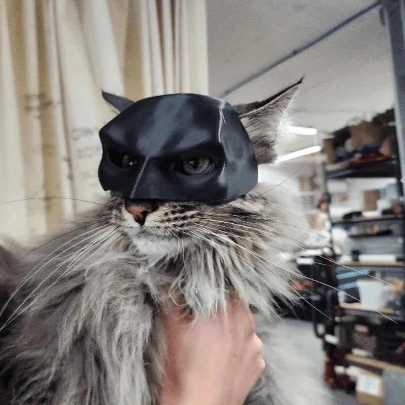 Cat wearing a black mask with animal ears indoors