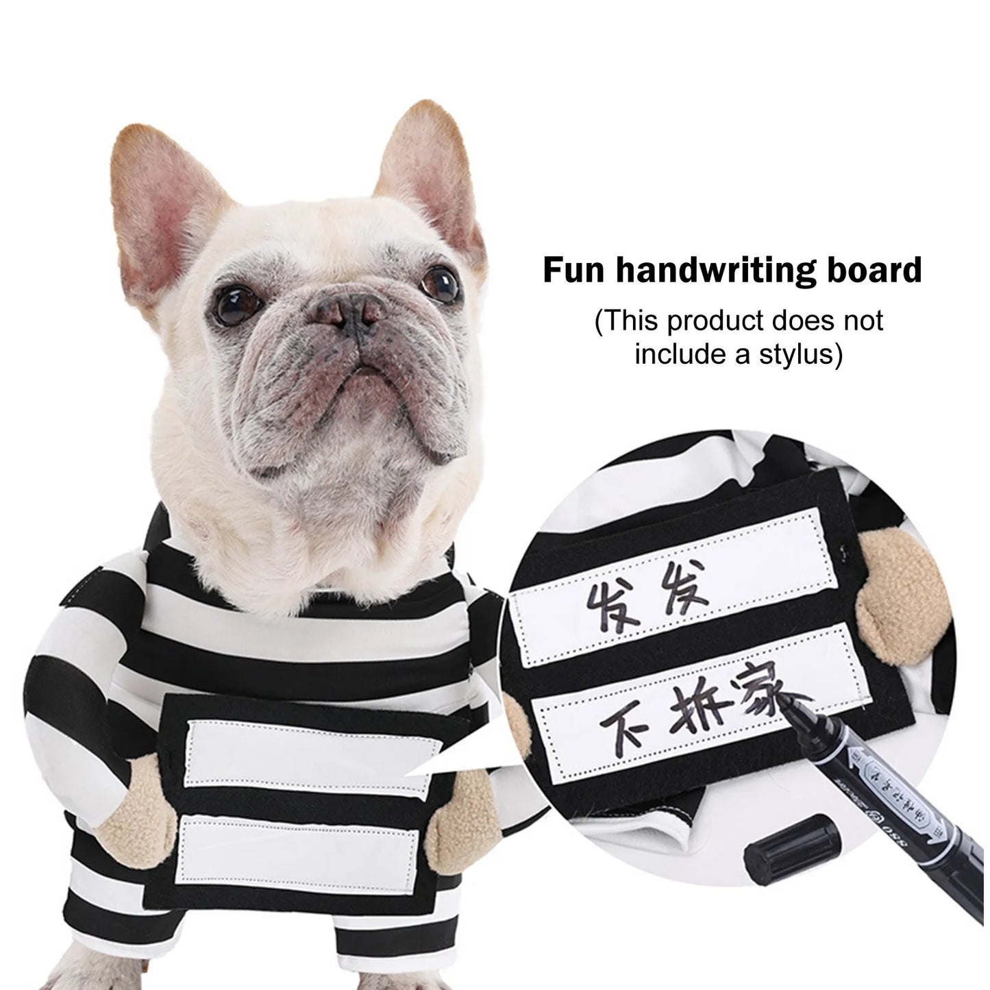 Dog wearing a striped outfit with a small board labeled 'Fun handwriting board' on a white background.