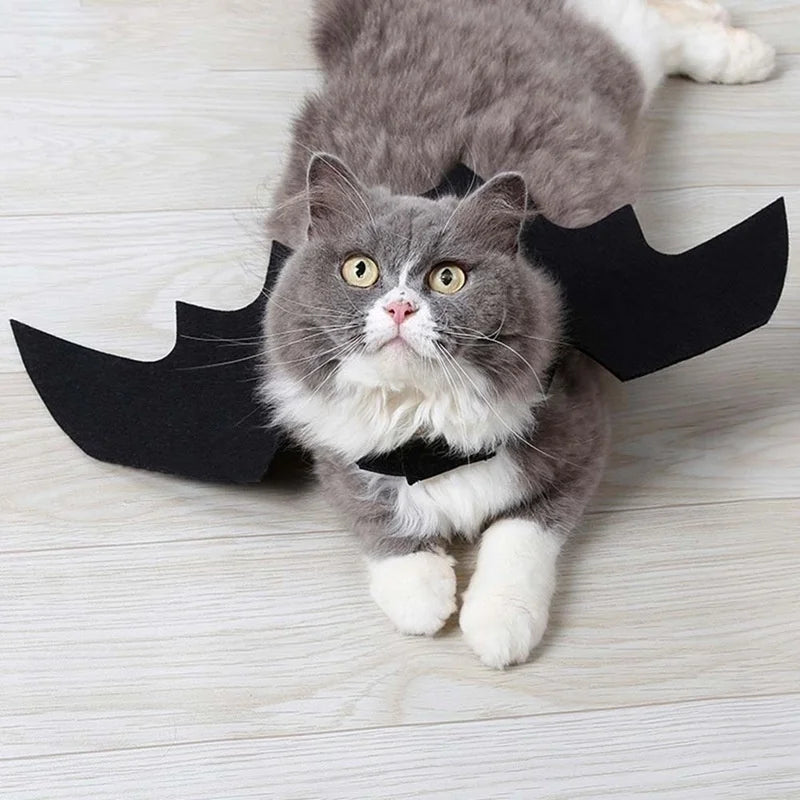 Cat wearing black bat wings on a light wooden floor