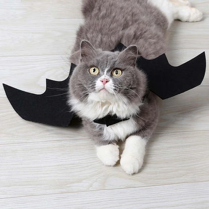 Cat wearing black bat wings on a light wooden floor