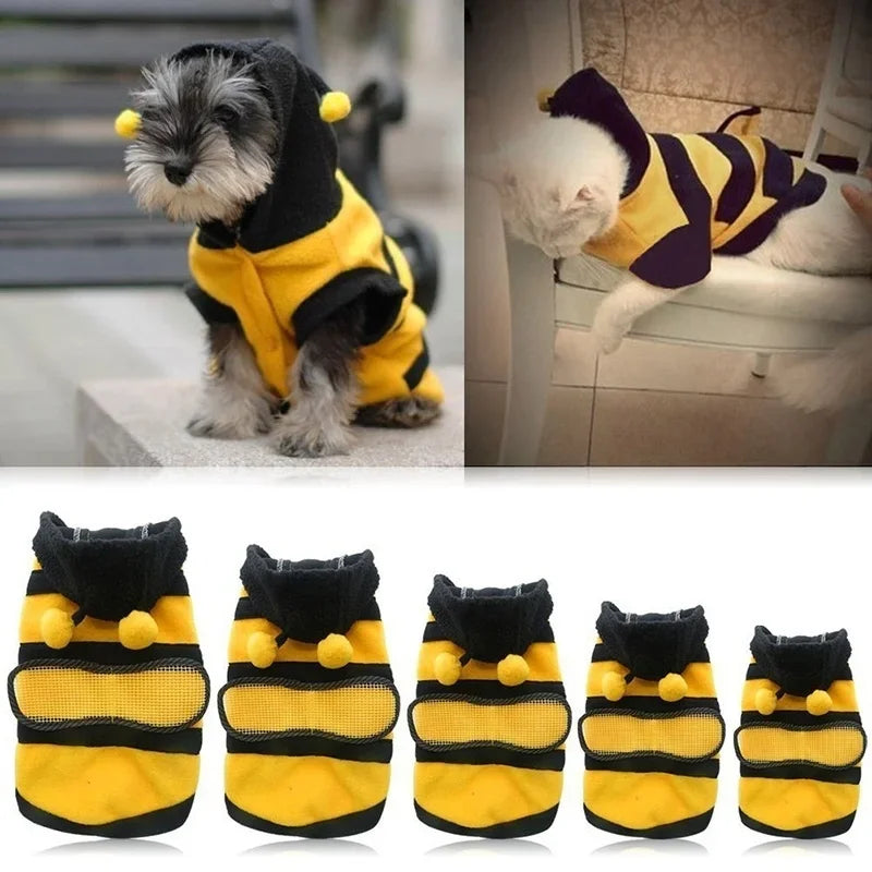Dog wearing a bee-themed outfit with additional bee-themed dog boots displayed below.
