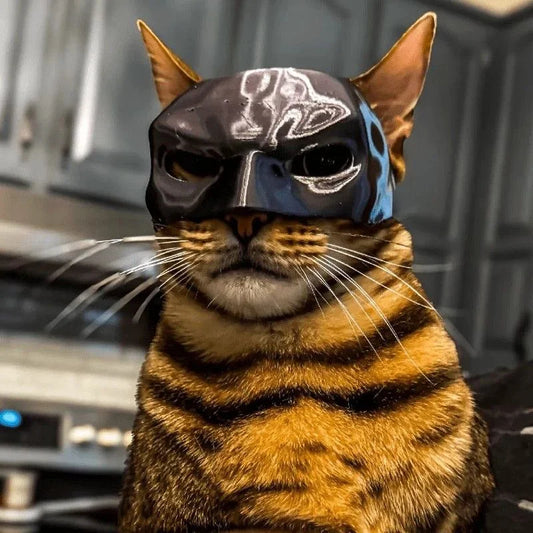 Cat wearing a helmet with a face design on a blurred background