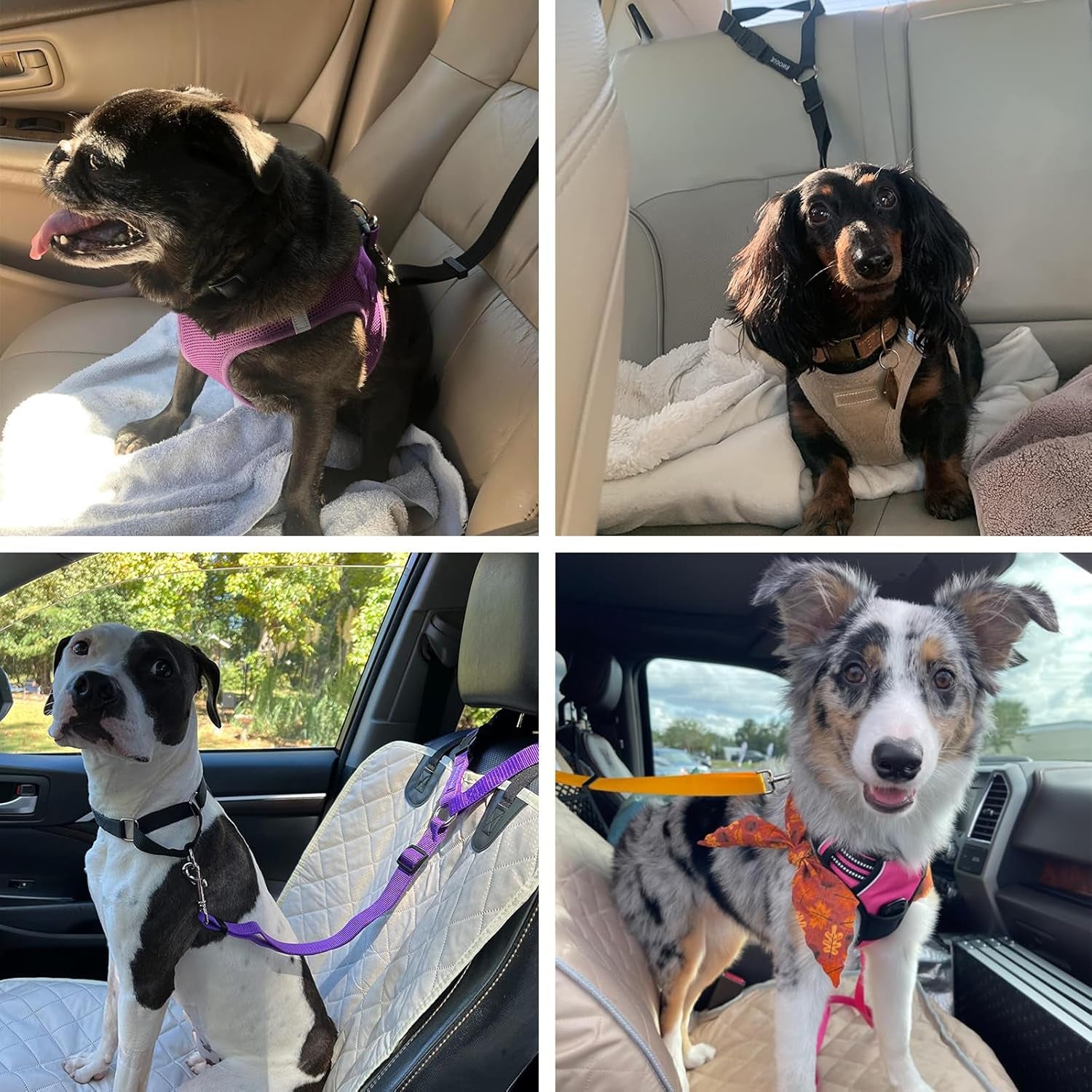 2 Packs Dog Cat Safety Seat Belt Strap Car Headrest Restraint Adjustable Nylon Fabric Dog Restraints Vehicle Seatbelts Harness