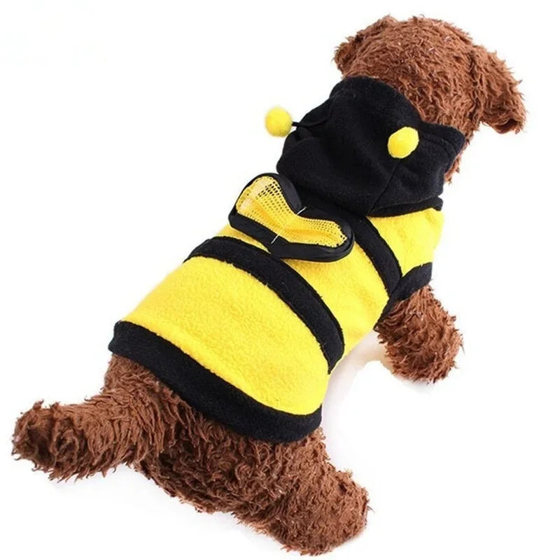 Dog wearing a bee-themed costume on a white background