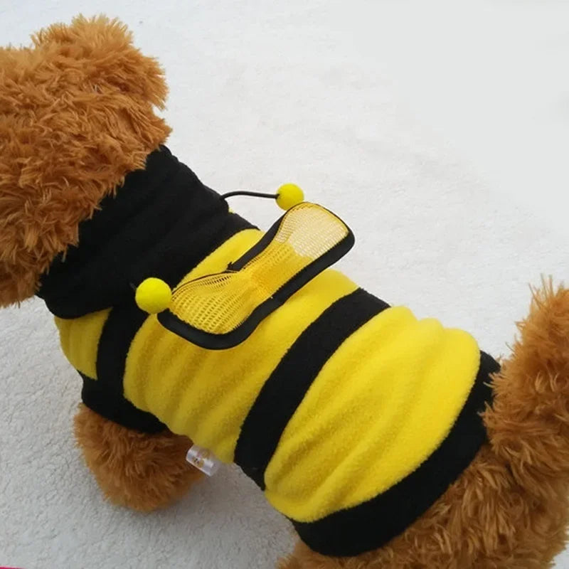 Dog wearing a bee costume with a yellow and black striped pattern on a white background