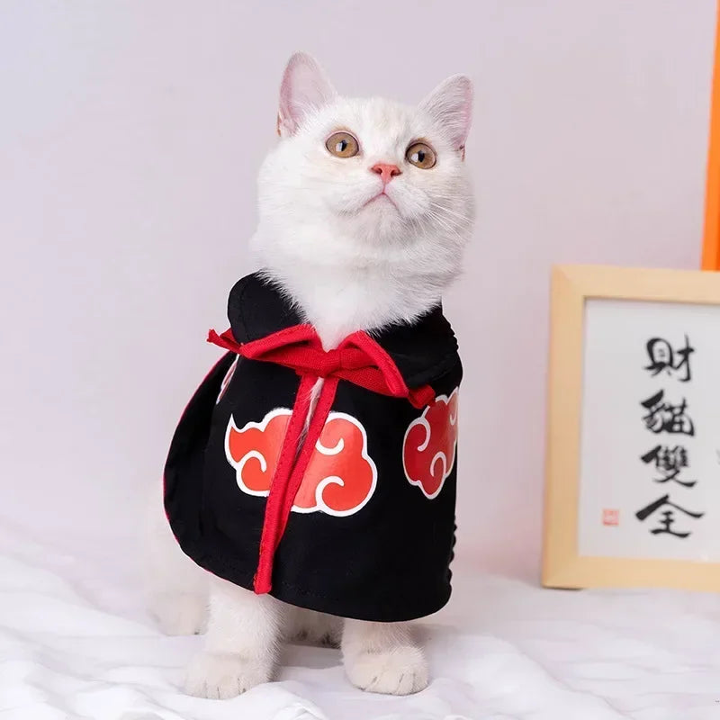 White cat wearing a black outfit with red cloud designs on a light gray background