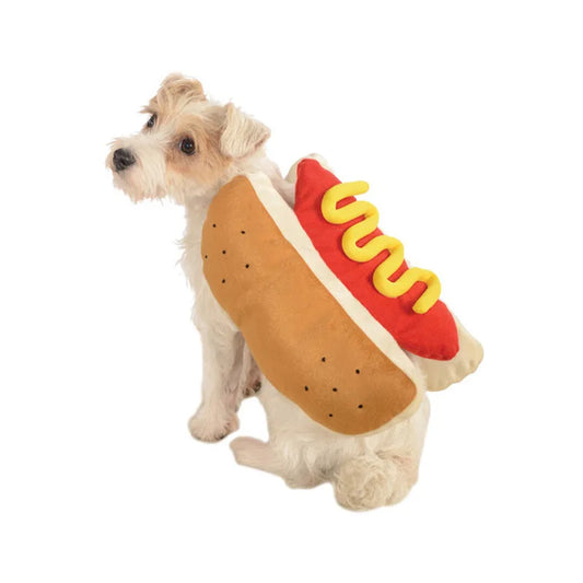 Dog wearing a hot dog costume with mustard on a white background