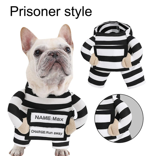 Dog wearing a prisoner-style costume with black and white stripes, including a close-up of the outfit and a name tag.