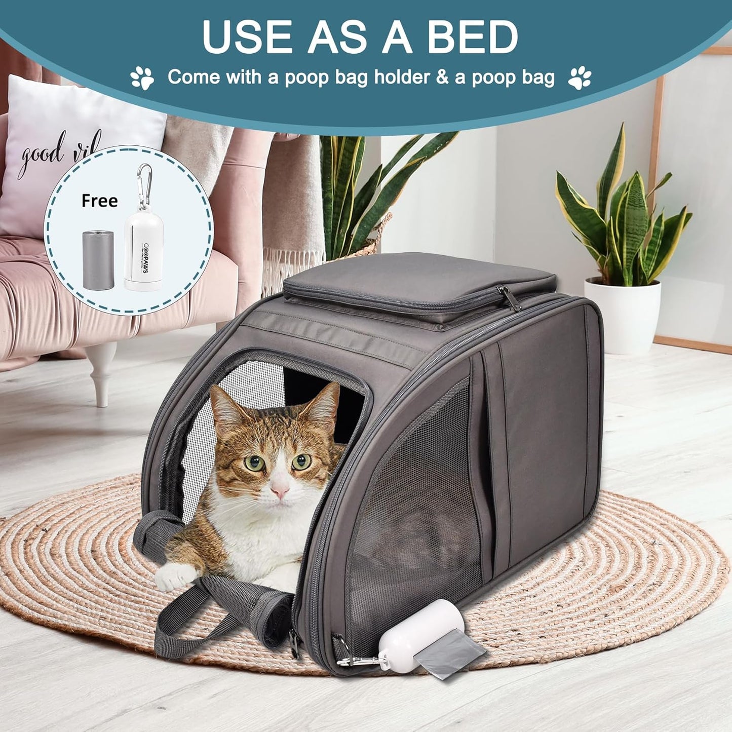Small cat inside pet backpack carrier showing comfortable fit and secure positioning