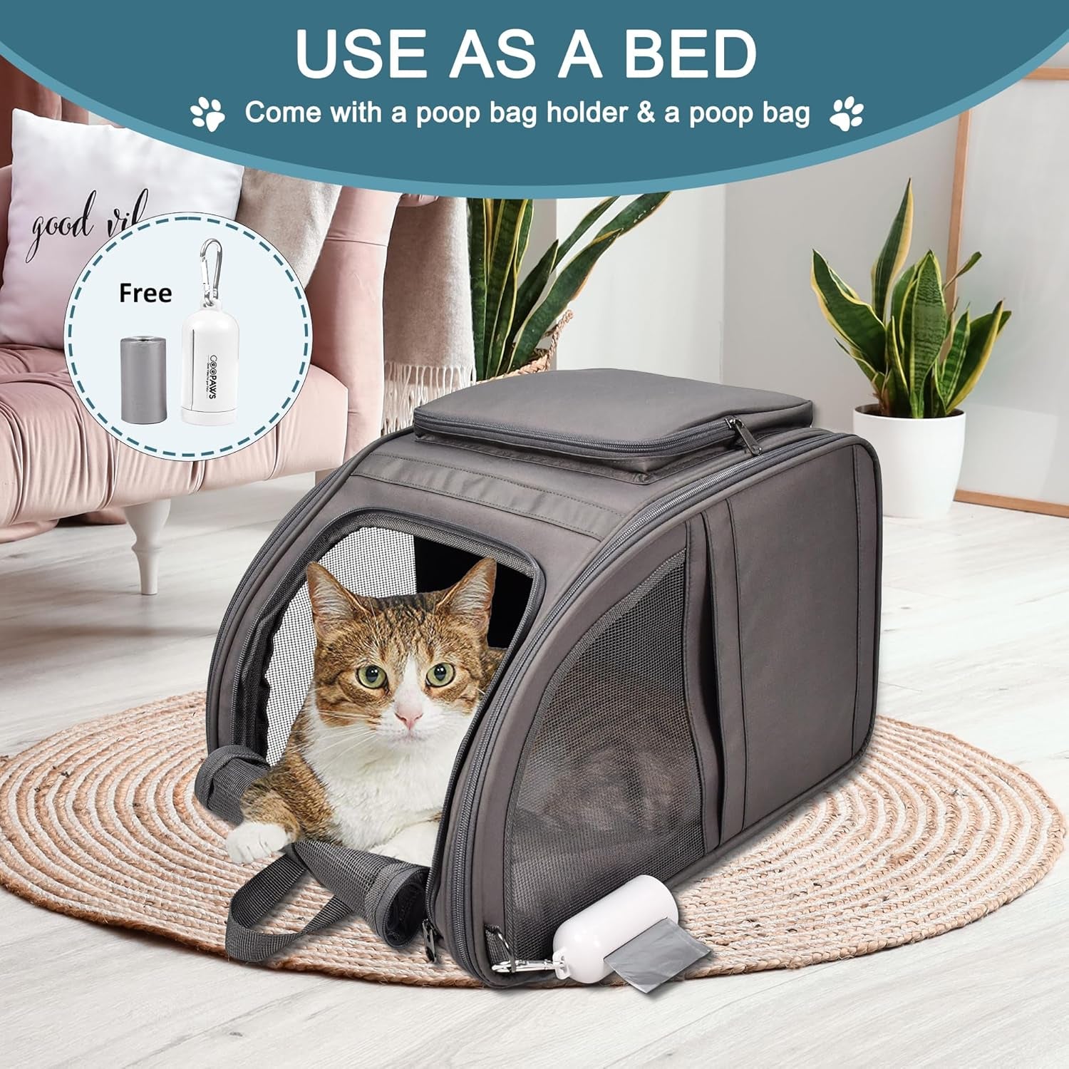 Small cat inside pet backpack carrier showing comfortable fit and secure positioning