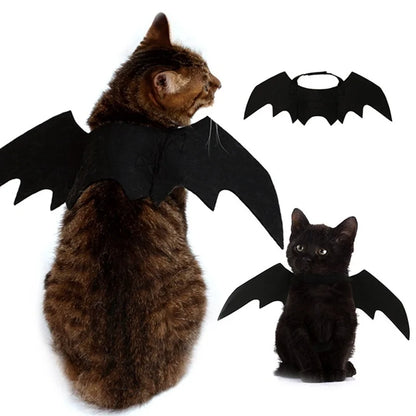 Cat wearing a black bat costume with additional bat wings on a white background